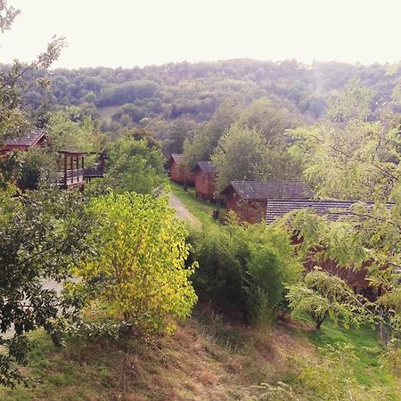 La Ferme Du Duzou Villa Saint-Cyprien-sur-Dourdou Buitenkant foto