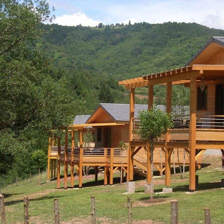 La Ferme Du Duzou Villa Saint-Cyprien-sur-Dourdou Buitenkant foto